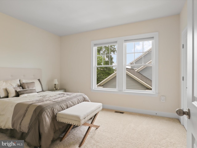 41909 Paddock Gate Pl, Ashburn, VA 20148 - bedroom featuring baseboards and carpet flooring