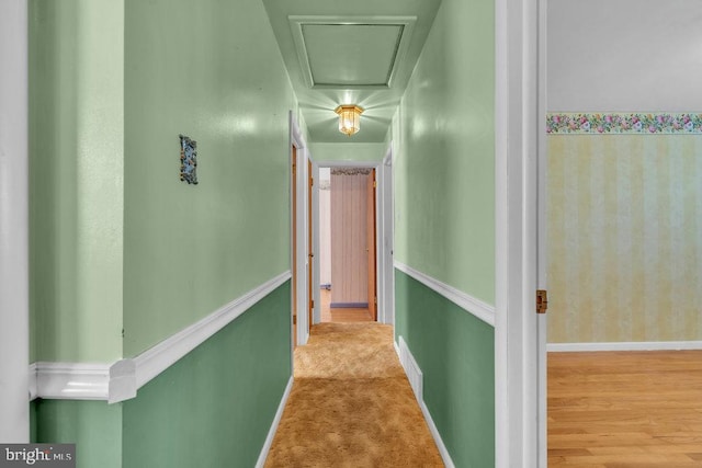 hall with baseboards and carpet flooring