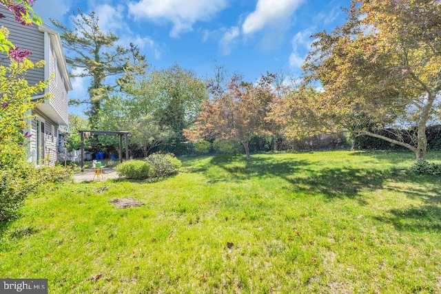 view of yard featuring a pergola