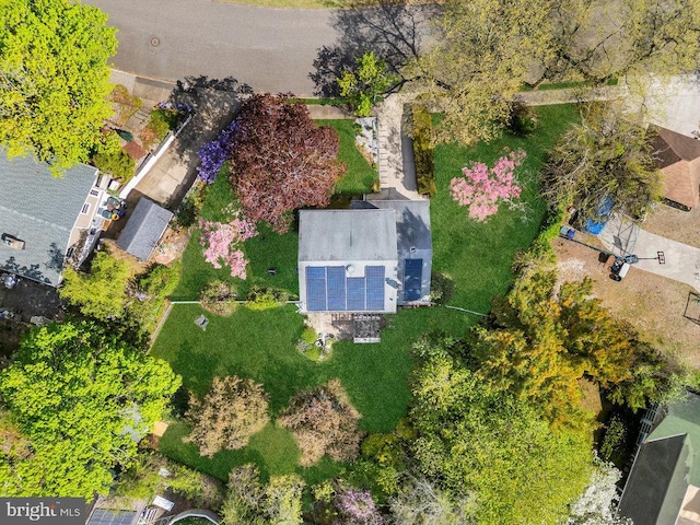 drone / aerial view