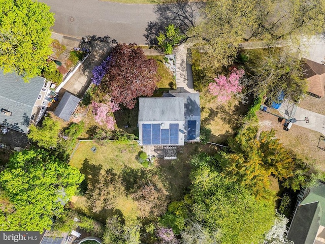 drone / aerial view