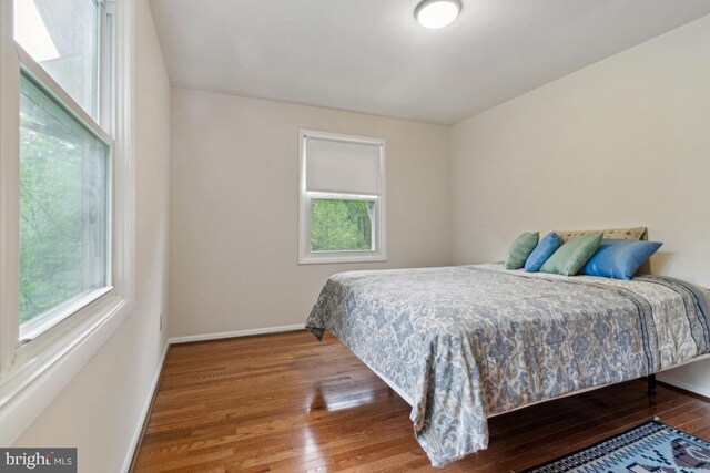 2602 Jeffrey Lori Dr, Finksburg, MD 21048 - bedroom featuring multiple windows, baseboards, and hardwood / wood-style flooring