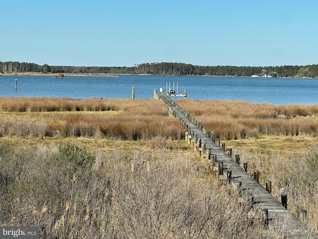 view of water feature with a dock