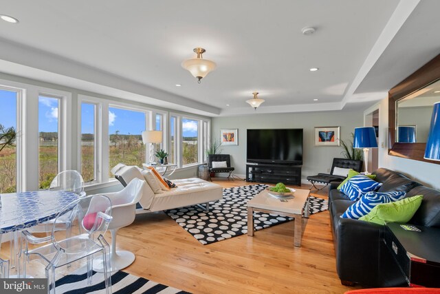 5419 Ragged Point Rd, Cambridge, MD 21613 - living area with wood finished floors, a raised ceiling, and recessed lighting
