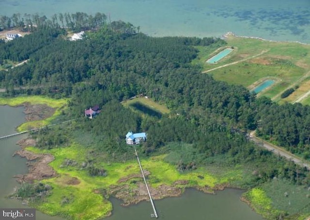 birds eye view of property featuring a water view and a wooded view