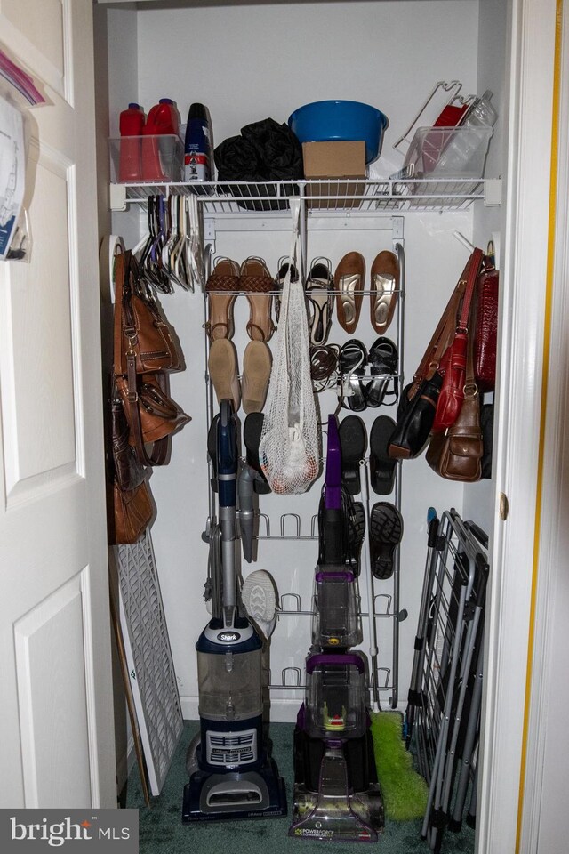 216 Laurel Ct, Pine Grove, PA 17963 - view of closet