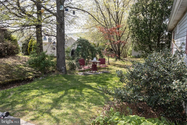 216 Laurel Ct, Pine Grove, PA 17963 - view of yard
