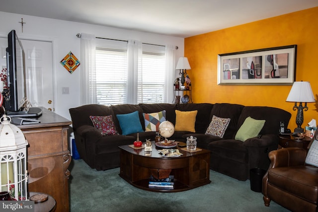 216 Laurel Ct, Pine Grove, PA 17963 - view of carpeted living room