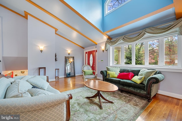1110 Brantford Ave, Silver Spring, MD 20904 - living area with baseboards, high vaulted ceiling, and wood finished floors