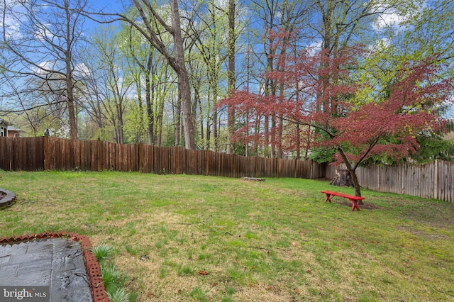 1110 Brantford Ave, Silver Spring, MD 20904 - view of yard with a fenced backyard