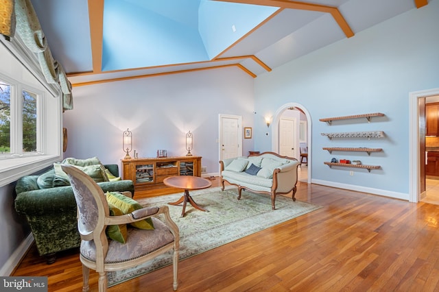1110 Brantford Ave, Silver Spring, MD 20904 - living area featuring baseboards, arched walkways, high vaulted ceiling, and wood finished floors