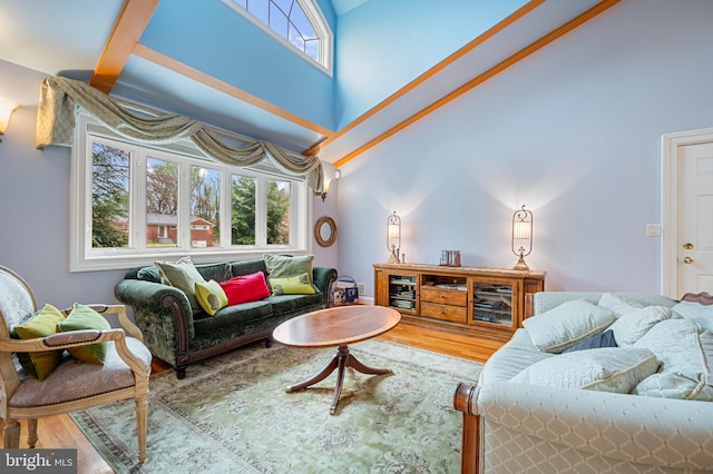 1110 Brantford Ave, Silver Spring, MD 20904 - living area with wood finished floors and a towering ceiling