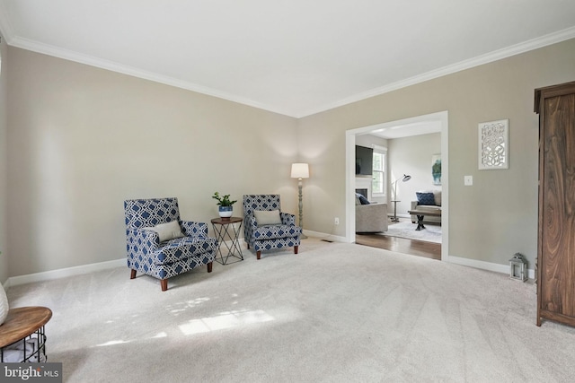 living area featuring crown molding, carpet floors, baseboards, and a fireplace