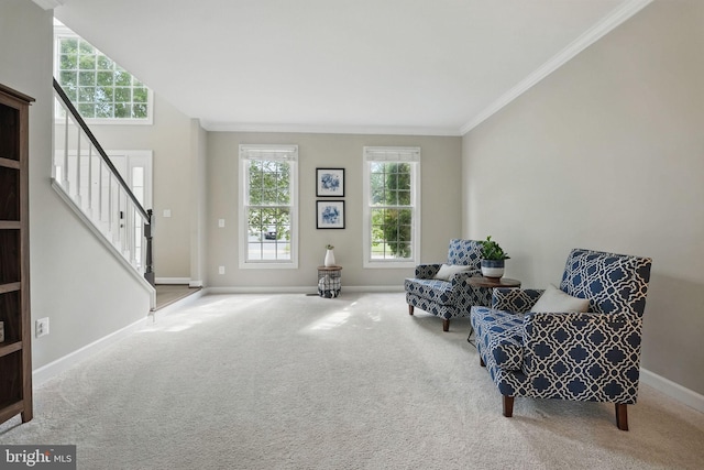 sitting room featuring crown molding, carpet floors, baseboards, and stairs