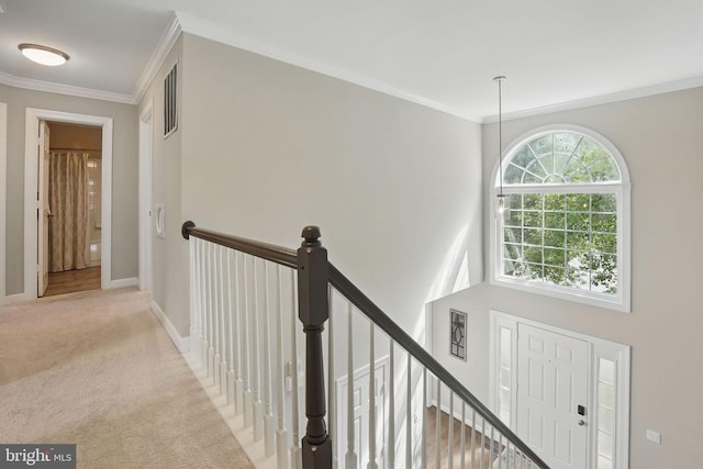 corridor with carpet, an upstairs landing, ornamental molding, and visible vents