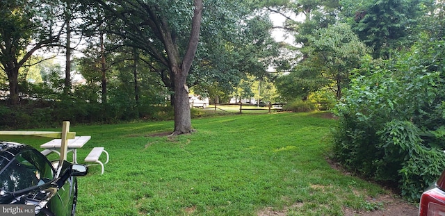 view of yard