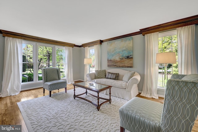 living area with baseboards, ornamental molding, and a healthy amount of sunlight