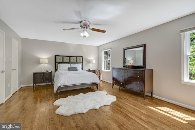 bedroom featuring ceiling fan, wood finished floors, baseboards, and multiple windows