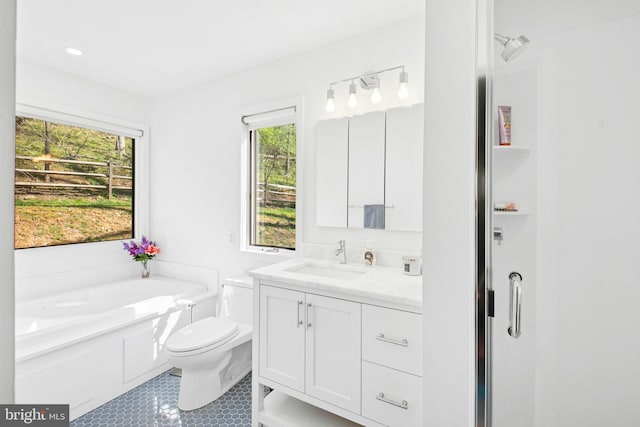 full bath with a healthy amount of sunlight, vanity, toilet, and a bath