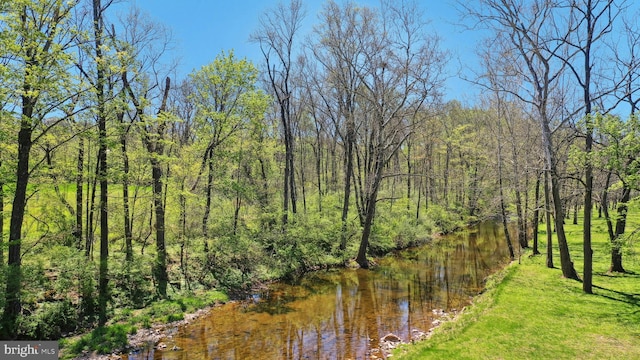 property view of water featuring a wooded view
