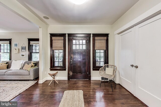 foyer with baseboards, plenty of natural light, and wood finished floors