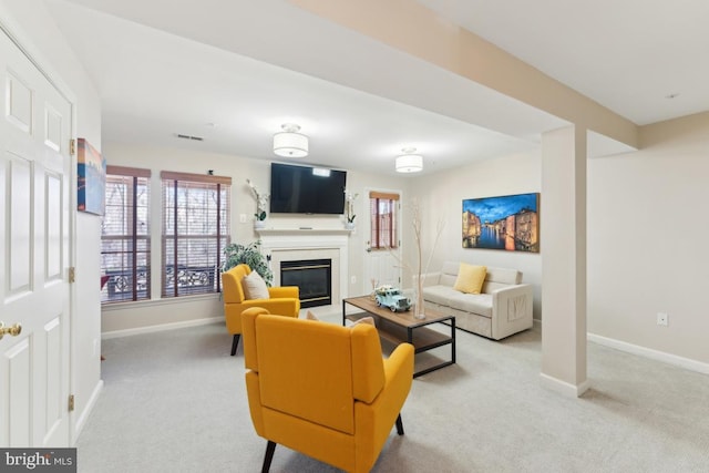 12815 Duck Pond Dr Unit 111, Germantown, MD 20874 - carpeted living room featuring baseboards and a glass covered fireplace