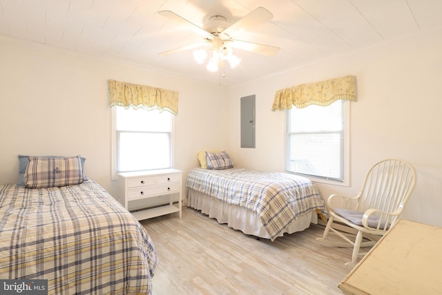 bedroom featuring ornamental molding, electric panel, multiple windows, and wood finished floors