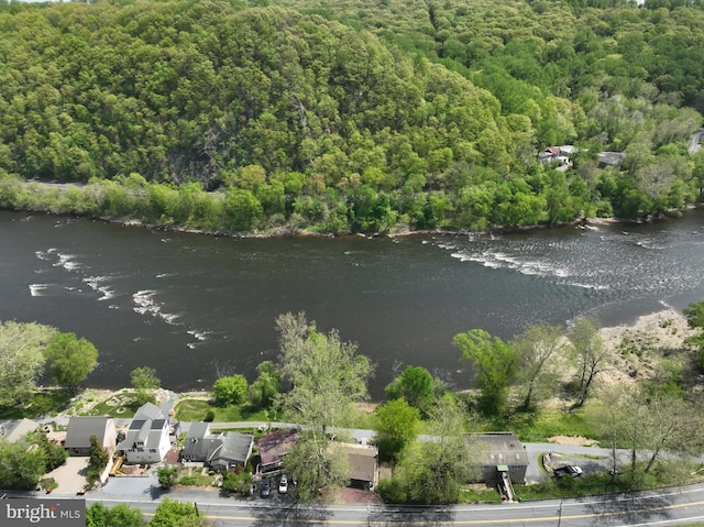 birds eye view of property with a water view and a view of trees
