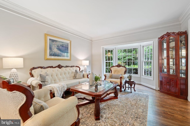 11406 Royal Vw, North Potomac, MD 20878 - living area with wood finished floors, ornamental molding, and baseboards