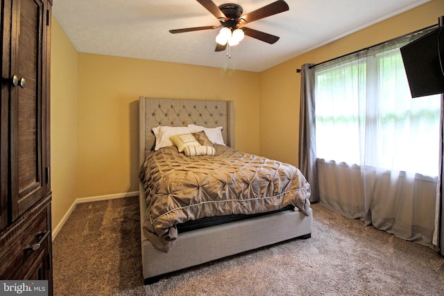 19 Old Hilltop Rd, Conowingo, MD 21918 - bedroom with baseboards, carpet flooring, and ceiling fan