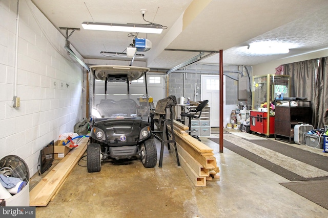 19 Old Hilltop Rd, Conowingo, MD 21918 - garage featuring concrete block wall and a garage door opener