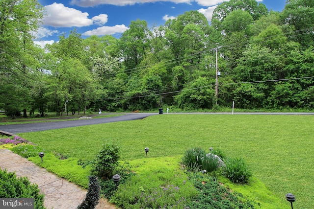 19 Old Hilltop Rd, Conowingo, MD 21918 - view of yard