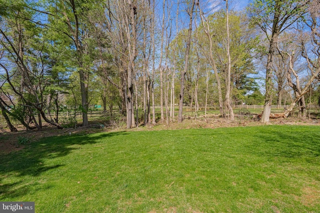 view of yard featuring fence