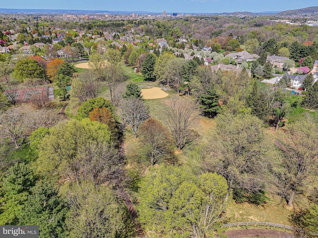 drone / aerial view