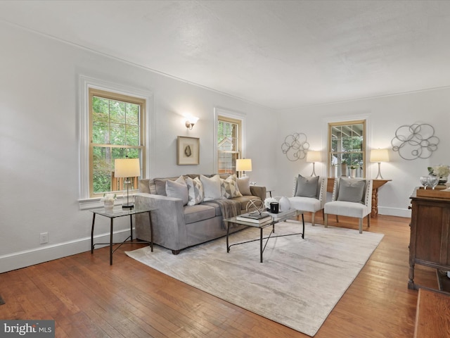 living room featuring plenty of natural light, wood-type flooring, and baseboards