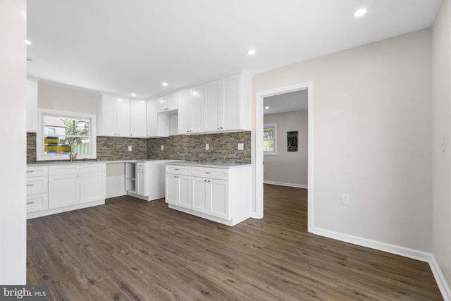 kitchen with white cabinetry, dark wood-type flooring, and tasteful backsplash