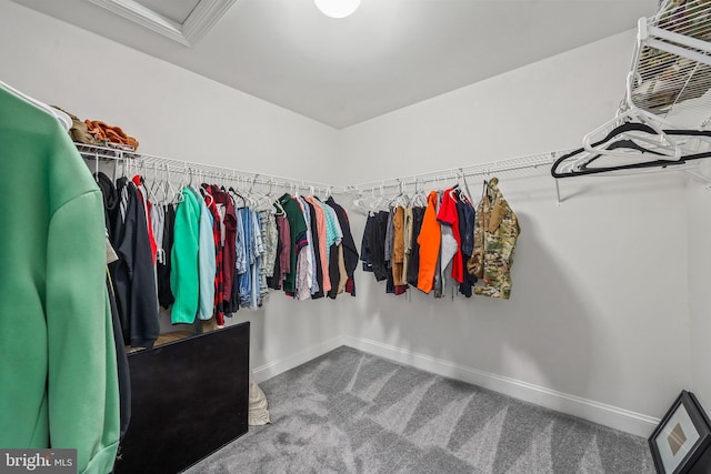 walk in closet featuring carpet flooring and attic access