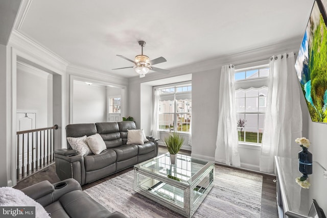 living area with crown molding, ceiling fan, and wood finished floors