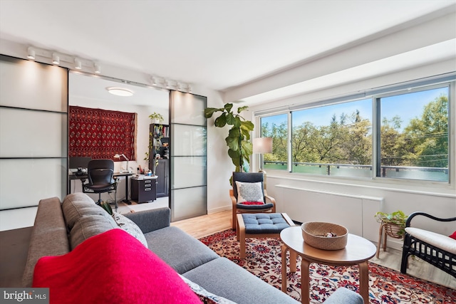 living room featuring wood finished floors