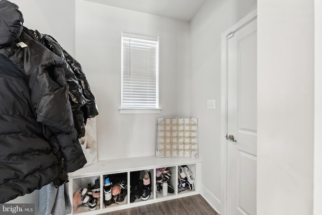 mudroom featuring baseboards, plenty of natural light, and wood finished floors