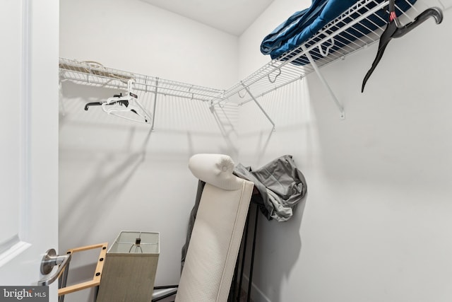 view of walk in closet