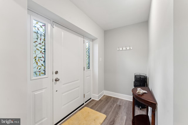 entrance foyer featuring a healthy amount of sunlight, baseboards, and wood finished floors