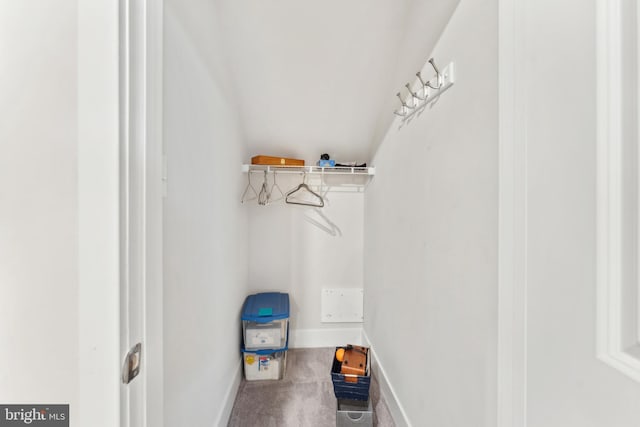 spacious closet with carpet