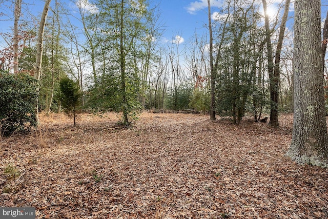 24 Elk Rd, Mullica Hill, NJ 08062 - view of nature