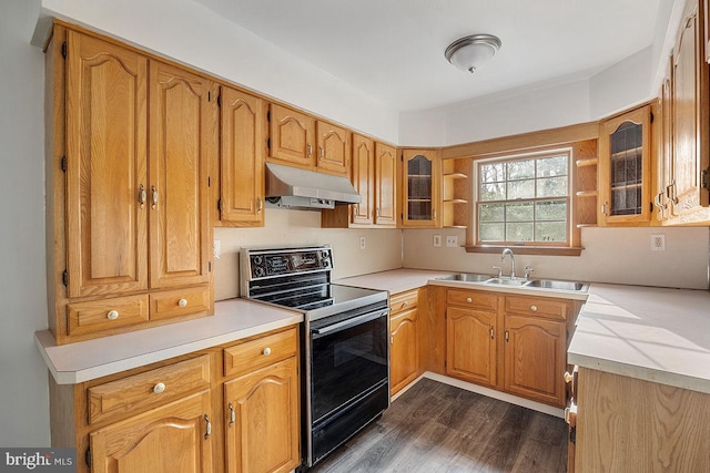 24 Elk Rd, Mullica Hill, NJ 08062 - kitchen with open shelves, a sink, range with electric cooktop, under cabinet range hood, and glass insert cabinets