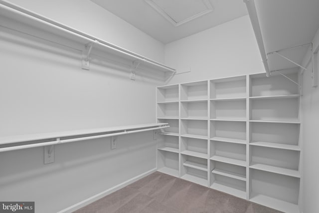 13647 Van Doren Rd, Manassas, VA 20112 - walk in closet with carpet flooring