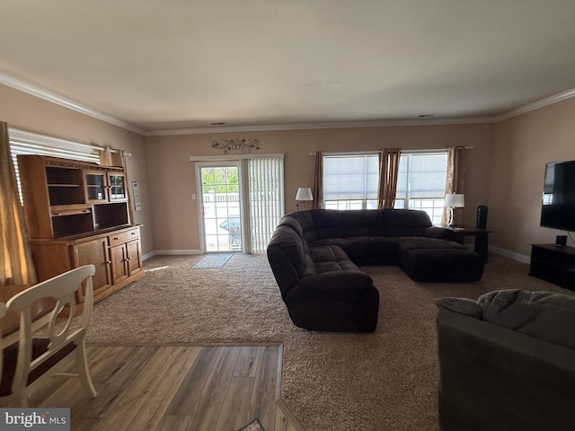 living area with baseboards, crown molding, and wood finished floors