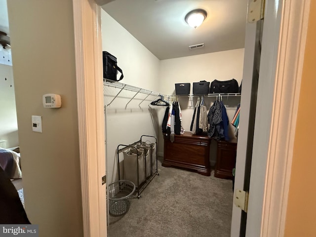 spacious closet with carpet flooring and visible vents