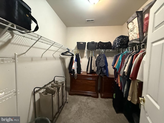 walk in closet featuring carpet floors and visible vents