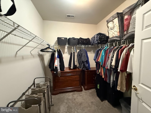 spacious closet featuring carpet flooring and visible vents